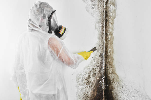 Best Post-Remediation Services in Yosemite Lakes, CA