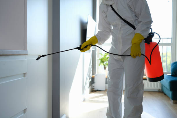 Best Preventive Mold Services in Yosemite Lakes, CA