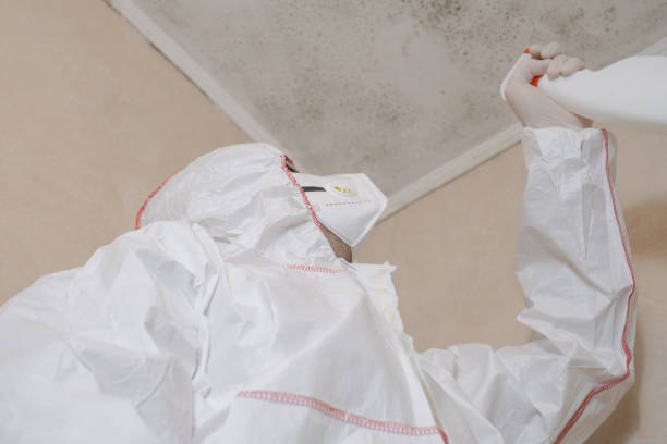 Best Commercial Mold Remediation in Yosemite Lakes, CA
