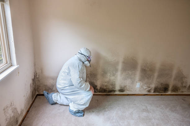 Best Industrial Mold Remediation in Yosemite Lakes, CA