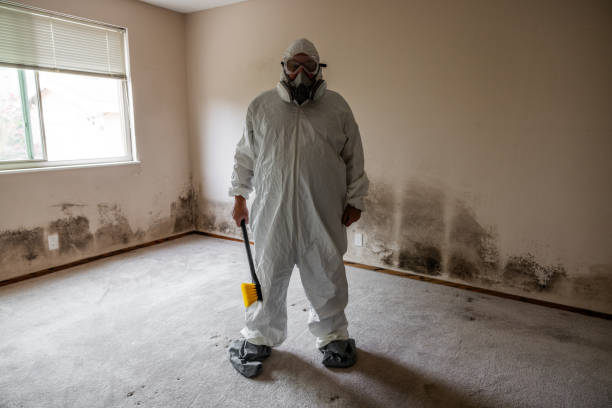 Best Mold Testing and Inspection Services in Yosemite Lakes, CA